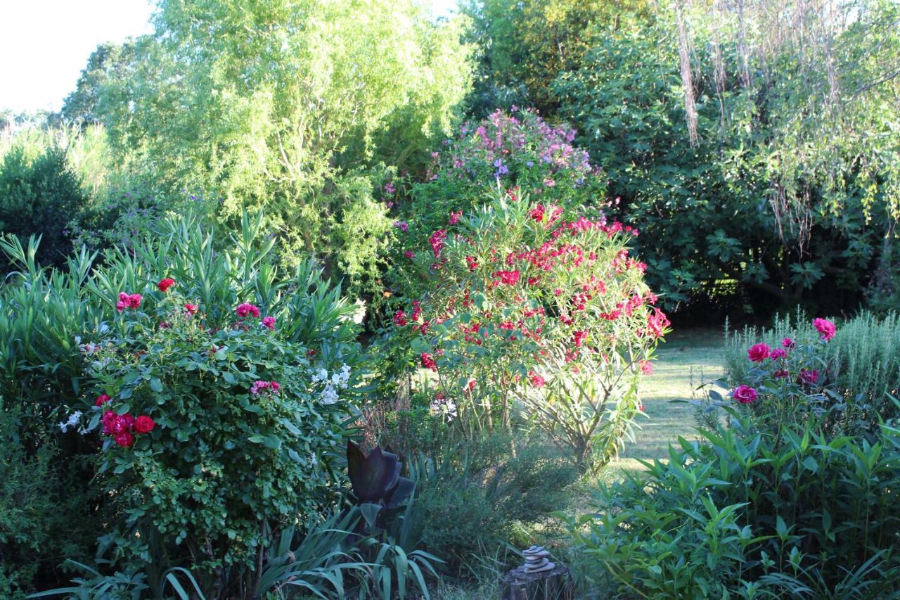 Mas Les Romarins, 10 Min D'Uzes, Piscine Et Grand Jardin Clos, Jeux, Nid De Repos Et Base Pour Activites Dans Le Gard (Adults Only) Esterno foto
