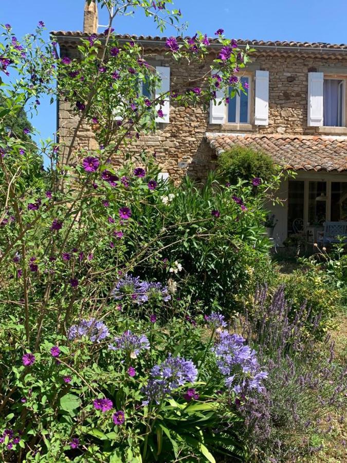 Mas Les Romarins, 10 Min D'Uzes, Piscine Et Grand Jardin Clos, Jeux, Nid De Repos Et Base Pour Activites Dans Le Gard (Adults Only) Esterno foto